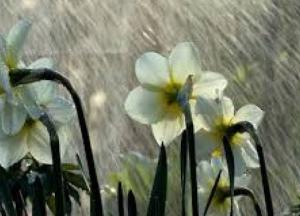 Украинцев предупредили о мощных ливнях с градом