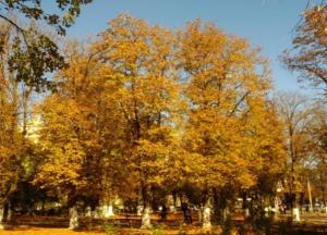 Прогноз погоды на выходные 13–14 ноября: ясные дни и морозные ночи