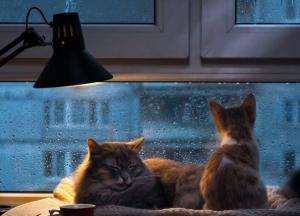 Прогноз погоды на 3 февраля: значительное потепление почти во всех областях Украины