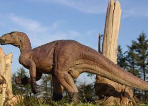 В Великобритании нашли хвост динозавра, жившего 125 миллионов лет назад (фото)