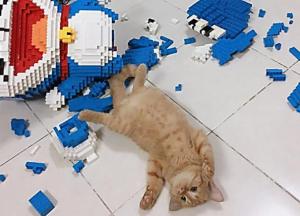Кот разрушил фигуру из 2 тысяч деталей конструктора (фото)