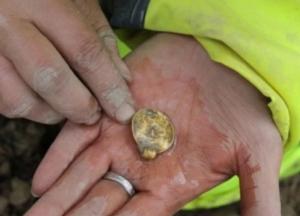 В Норвегии обнаружили интересную находку