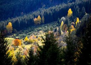 Прогноз погоды на 29 октября: в Украине будет тепло и солнечно