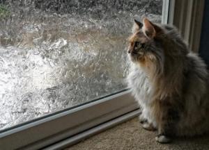 Прогноз погоды на 22 апреля: будет прохладно и ветрено