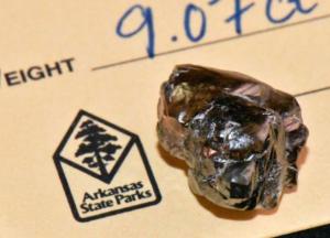 Житель Арканзаса нашел в парке алмаз размером в 9 карат