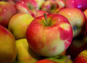 Медики объяснили, как яблоки влияют на женское здоровье