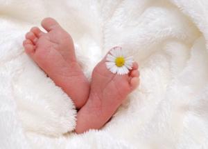 Родителям новорожденных малышей приготовили приятный сюрприз