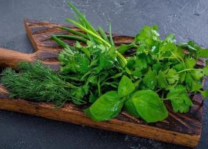 Специалисты рассказали, как сохранить полезные свойства зелени