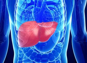 Ученые назвали вредные для печени привычки