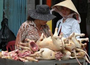 Ученые обнаружили место, где может начаться новая пандемия