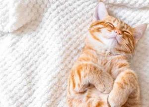 Прогноз погоды на 28 сентября: в Украине будет бушевать антициклон, но местами дождливо