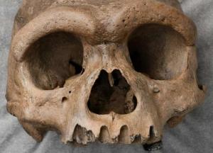 В Китае нашли череп неизвестного науке древнего "человека-дракона"