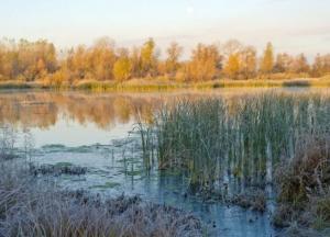 Синоптик рассказал, в каких областях Украины похолодает