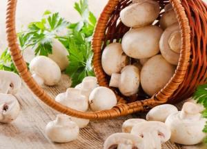 Ученые рассказали о полезных свойствах грибов 