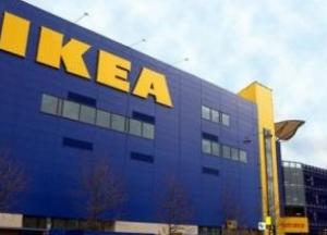 IKEA попала в громкий скандал из-за незаконно вырубленных лесов в Карпатах