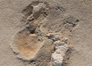 Археологов озадачила находка на Крите - может "перевернуть" историю