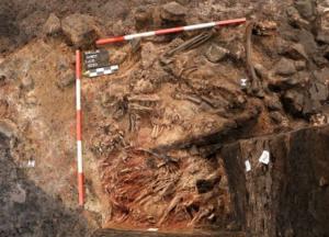 В фундаменте замка XI века обнаружены скелеты принесенных в жертву людей 