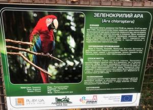 Украли экзотических попугаев с особыми приметами из Луцкого зоопарка (фото)
