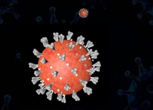 В сети появилась версия происхождения коронавируса