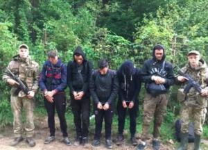 На Буковине задержали четырех студентов-нелегалов из Алжира