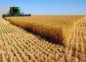 Зеленский одобрил повышение НДС для части сельхозпродукции