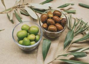 Диетологи перечислили плюсы и минусы от употребления оливок
