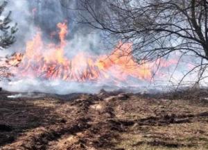 Пожар в Чернобыльской зоне подбирается к ЧАЭС (видео)