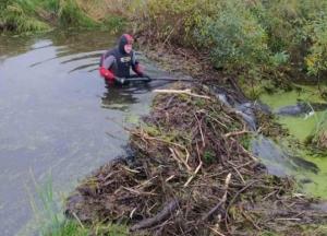 В реке во Львовской области нашли останки мужчины
