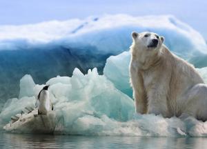 В Арктике зафиксировали 34-градусную жару