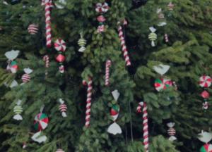 В центре Киева установили 30-метровую елку (видео) 