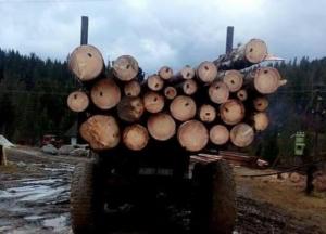 На Львовщине лесорубы избили и привязали к авто активиста