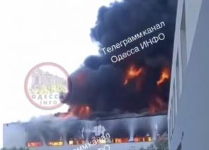 Друга армія світу спалила завод туалетного паперу "Сніжна Панда" і вбила його працівників (відео)