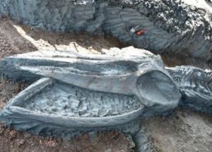В Таиланде обнаружили останки кита, которым около 5 тысяч лет (фото)