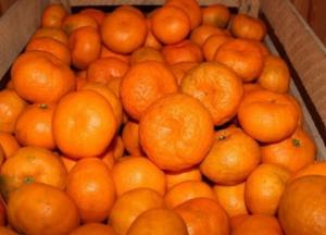 Супрун сделала сенсационное заявление о мандаринах