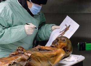 Ученые показали, какую одежду носили первобытные люди