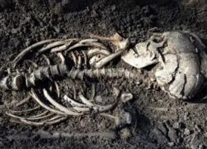 В Швеции нашли древнейшие гробницы викингов с останками близнецов