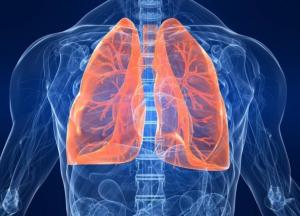 Медики назвали полезные привычки для поддержания здоровья легких