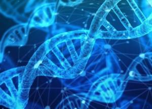 В Китае родился первый гибрид свиньи и обезьяны (фото)