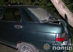 В Винницкой области пьяная женщина сбила четырех детей: один ребенок в коме (фото, видео)
