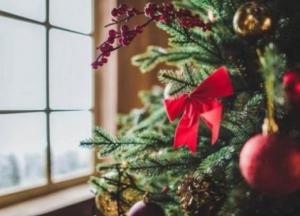 Прогноз погоды на Рождество: празднуем комфортно!