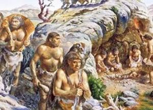 Ученые обнаружили ранее неизвестного предка человека, жившего более 11 миллионов лет назад