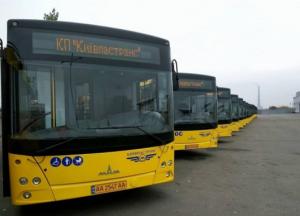 Водителям, которые отказывают в перевозке льготников, придется платить новые штрафы