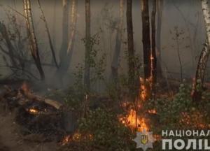 Официально: Чернобыльский лес загорелся из-за женской мести 