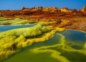 В самом экстремальном месте планеты найдены живые существа