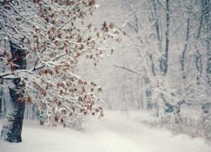 Циклон "Монстр с Востока": Европу ждет самая суровая зима за последние 30 лет