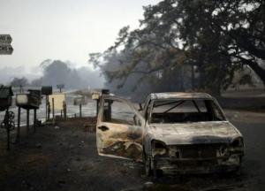 После разрушительных пожаров Австралию залило дождем (видео)
