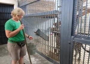 Всесвітній тиждень зоокіпера: як працюють з хижаками в Миколаївському зоопарку