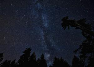 Звездный дождь: где смотреть звездопад Леониды (видео)