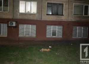 В Кривом Роге пьяный мужчина выбросил из окна собаку (фото) 
