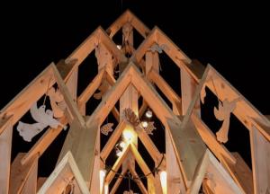 В Украине зажгли уникальную елку (видео)